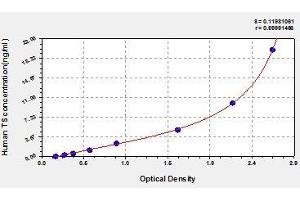 Typical standard curve (TYMS Kit ELISA)