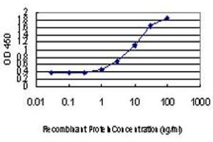 Detection limit for recombinant GST tagged DLX2 is approximately 1ng/ml as a capture antibody. (DLX2 anticorps  (AA 1-110))