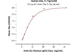Immobilized Human C5a, Fc Tag (ABIN6810055,ABIN6938863) at 2 μg/mL (100 μL/well) can bind Anti-C5a (Human IgG1) with a linear range of 2-16 ng/mL (QC tested). (C5A Protein (AA 679-751) (Fc Tag))