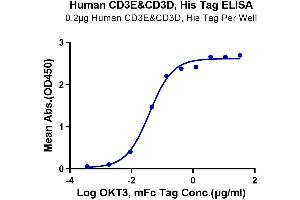 Immobilized Human CD3E&CD3D at 2 μg/mL (100 μL/Well) on the plate.