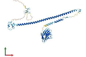 AlphaFold protein structure predicition of Human Recombinant TRIM15 Protein, UniprotID Q9C019