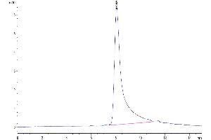 The purity of Biotinylated Human IL-10 is greater than 95 % as determined by SEC-HPLC.