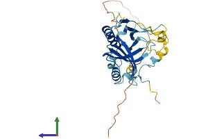 AlphaFold protein structure predicition of Human Recombinant TPRG1L Protein, UniprotID Q5T0D9