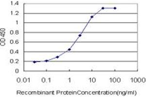 Detection limit for recombinant GST tagged EPHB3 is approximately 0. (EPH Receptor B3 anticorps  (AA 899-997))