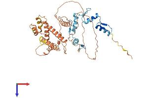 AlphaFold protein structure predicition of Human Recombinant ZSCAN4 Protein, UniprotID Q8NAM6