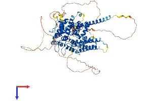 AlphaFold protein structure predicition of Mouse Recombinant Git1 Protein, UniprotID Q68FF6