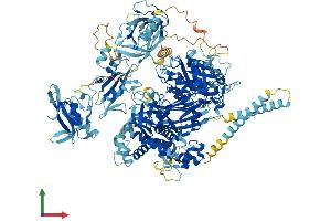 AlphaFold protein structure predicition of Mouse Recombinant Plcg2 Protein, UniprotID Q8CIH5