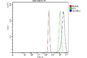 Flow Cytometry analysis of A431 cells using anti-SERINC2 antibody (ABIN7602193). (SERINC2 anticorps  (AA 62-378))