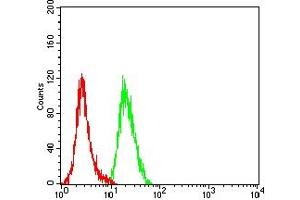 Flow cytometric analysis of Hela cells using ULBP2 mouse mAb (green) and negative control (red).