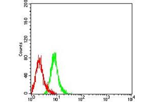Flow cytometric analysis of Jurkat cells using KIR3DL1 mouse mAb (green) and negative control (red).