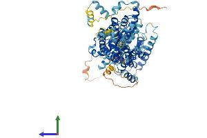 AlphaFold protein structure predicition of Mouse Recombinant Slc26a1 Protein, UniprotID P58735