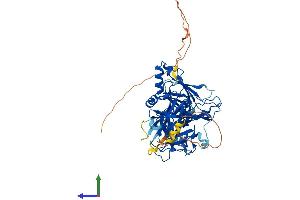 AlphaFold protein structure predicition of Mouse Recombinant Rbpj Protein, UniprotID P31266