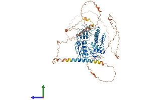AlphaFold protein structure predicition of Human Recombinant ZNF180 Protein, UniprotID Q9UJW8