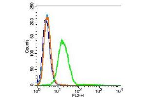 RSC96 cells probed with Neurokinin B receptor Antibody, unconjugated  at 1:100 dilution for 30 minutes compared to control cells (blue) and isotype control (orange)