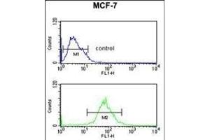 AIM2 Antibody (N-term) (ABIN653833 and ABIN2843099) flow cytometric analysis of MCF-7 cells (bottom histogram) compared to a negative control cell (top histogram).