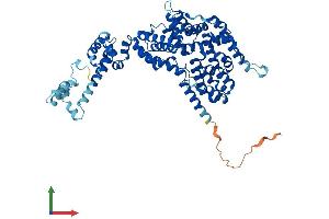 AlphaFold protein structure predicition of Human Recombinant NELFB Protein, UniprotID Q8WX92