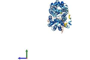 AlphaFold protein structure predicition of Mouse Recombinant Slc22a13 Protein, UniprotID Q6A4L0