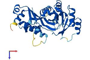 AlphaFold protein structure predicition of Mouse Recombinant Gclm Protein, UniprotID O09172