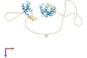 AlphaFold protein structure predicition of Mouse Recombinant Dek Protein, UniprotID Q7TNV0