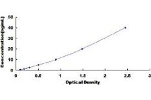 Typical standard curve (PRSS1 Kit ELISA)