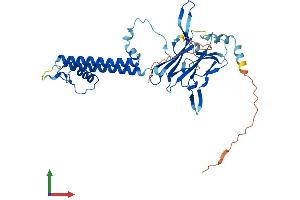 AlphaFold protein structure predicition of Mouse Recombinant Kcnj11 Protein, UniprotID Q61743