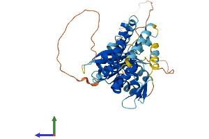 AlphaFold protein structure predicition of Human Recombinant C17orf75 Protein, UniprotID Q9HAS0