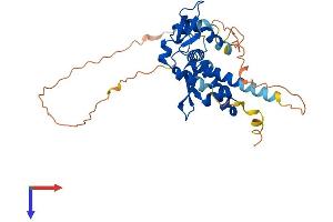 AlphaFold protein structure predicition of Human Recombinant MAGEA12 Protein, UniprotID P43365