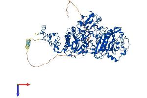 AlphaFold protein structure predicition of Human Recombinant ENPP1 Protein, UniprotID P22413