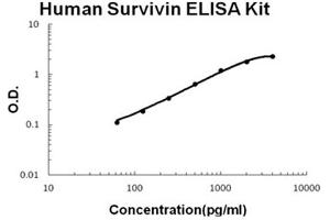 Human Survivin Accusignal ELISA Kit Human Survivin AccuSignal ELISA Kit standard curve. (Survivin Kit ELISA)