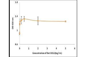 Activity Assay (AcA) image for Chemokine (C-X-C Motif) Ligand 2 (CXCL2) (Active) protein (ABIN5509438)