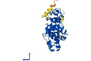 AlphaFold protein structure predicition of Mouse Recombinant Tbc1d7 Protein, UniprotID Q9D0K0