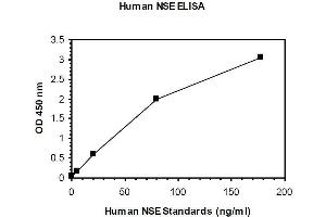 ELISA image for Enolase 2 (Gamma, Neuronal) (ENO2) ELISA Kit (ABIN1305165) (ENO2/NSE Kit ELISA)