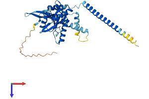 AlphaFold protein structure predicition of Human Recombinant COPS6 Protein, UniprotID Q7L5N1