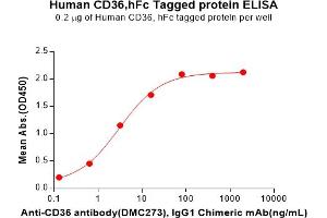 ELISA plate pre-coated by 2 μg/mL (100 μL/well) Human CD36 Protein, hFc Tag(ABIN7092680, ABIN7272250 and ABIN7272251) can bind Anti-CD36 antibody, IgG1 Chimeric mAb in a linear range of 0.