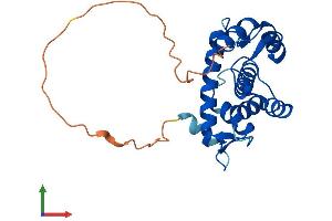 AlphaFold protein structure predicition of Human Recombinant GCA Protein, UniprotID P28676