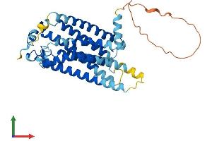 AlphaFold protein structure predicition of Human Recombinant LPAR3 Protein, UniprotID Q9UBY5