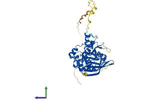 AlphaFold protein structure predicition of Human Recombinant PTPN7 Protein, UniprotID P35236