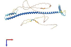 AlphaFold protein structure predicition of Mouse Recombinant Cenpu Protein, UniprotID Q8C4M7