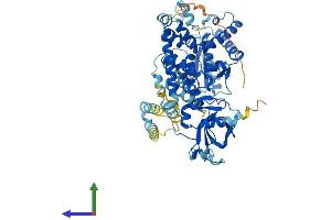 AlphaFold protein structure predicition of Human Recombinant FBXO21 Protein, UniprotID O94952