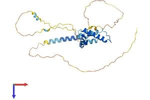AlphaFold protein structure predicition of Mouse Recombinant Tipin Protein, UniprotID Q91WA1