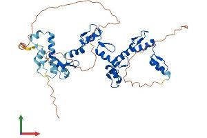 AlphaFold protein structure predicition of Human Recombinant ZFP92 Protein, UniprotID A6NM28