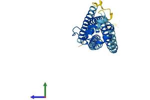 AlphaFold protein structure predicition of Human Recombinant TSPAN3 Protein, UniprotID O60637