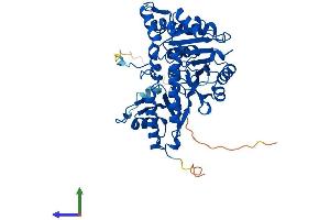 AlphaFold protein structure predicition of Human Recombinant TAT Protein, UniprotID P17735 (Tat (AA 1-454) protein (His tag))