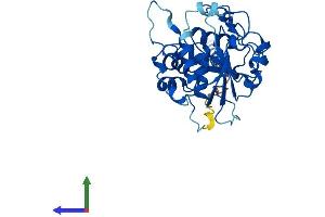AlphaFold protein structure predicition of Mouse Recombinant St3gal6 Protein, UniprotID Q8VIB3