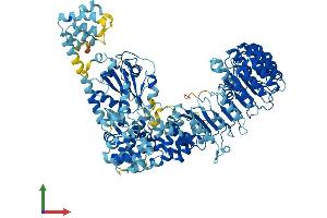 AlphaFold protein structure predicition of Mouse Recombinant Nlrp9c Protein, UniprotID Q66X01