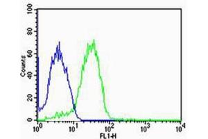 Flow cytometric analysis of MCF-7 cells using UIMC1 Antibody (C-term)(green, Cat(ABIN1944736 and ABIN2838561)) compared to an isotype control of rabbit IgG(blue).