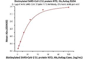 Immobilized A-CoV-2 Spike NTD Antibody, Chimeric mAb  at 1 μg/mL (100 μL/well) can bind Biotinylated SARS-CoV-2 S1 protein NTD, His,Avitag (ABIN6973252) with a linear range of 1-25 ng/mL (QC tested).