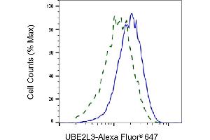 Validation of UBE2L3 knockdown using flow cytometry.
