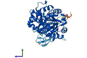 AlphaFold protein structure predicition of Human Recombinant AMDHD2 Protein, UniprotID Q9Y303
