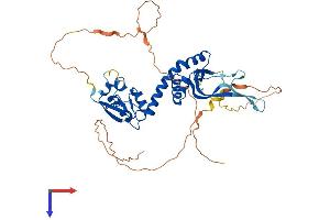 AlphaFold protein structure predicition of Human Recombinant KCTD20 Protein, UniprotID Q7Z5Y7